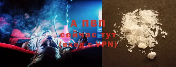 дживик Баксан