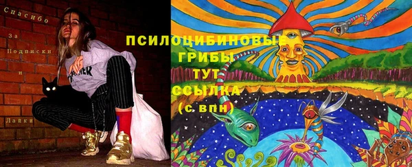 дживик Баксан